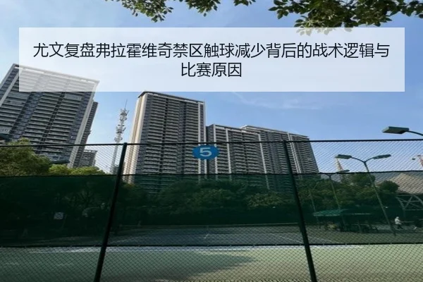 尤文复盘弗拉霍维奇禁区触球减少背后的战术逻辑与比赛原因