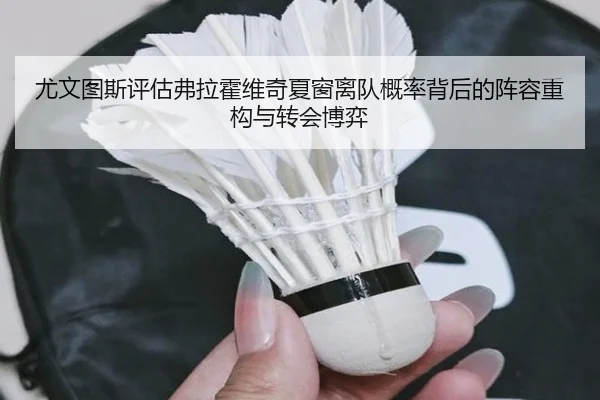 尤文图斯评估弗拉霍维奇夏窗离队概率背后的阵容重构与转会博弈